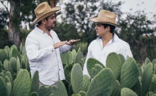 Kulit Pohon Kaktus Meksiko Mulai Gantikan Bahan Kain Kulit Binatang  