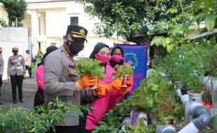 Jos! Ibu-Ibu Bhayangkari Sulap Pojok Mapolres Karanganyar Jadi Kebun Sayur