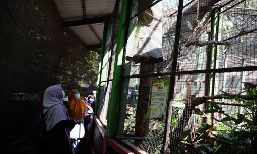 Minat Warga Berwisata Tak Terbendung, Jumlah Pengunjung TSTJ Meningkat