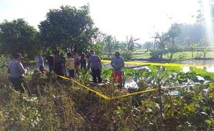 Jebakan Tikus Listrik Makan Korban, Petani di Godong Tewas Tersetrum