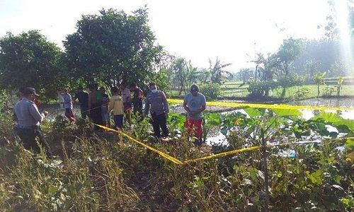 Jebakan Tikus di Penawangan Beraliran Listrik Makan Korban