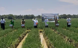 Cegah Gagal Panen, Petani Kulonprogo Sekolah Lapang Iklim