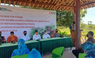 181 Petani Porang di Madiun Terima Permodalan, Nilainya Miliaran Rupiah