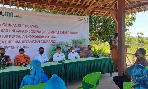 181 Petani Porang di Madiun Terima Permodalan, Nilainya Miliaran Rupiah