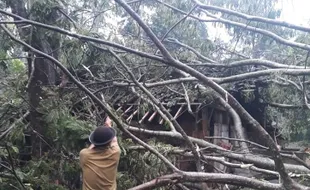 Angin Puting Beliung Terjang Tiga Kecamatan di Boyolali, Rumah Warga Rusak Tertimpa Pohon