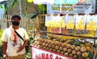 Nanas Madu Pemalang Banjiri Kota-Kota di Jawa Saat Ramadan