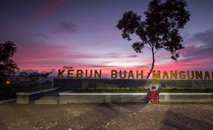 Kebun Buah Mangunan Bantul yang Tak Sekadar Menawarkan Buah-Buahan, Tapi Juga Ini