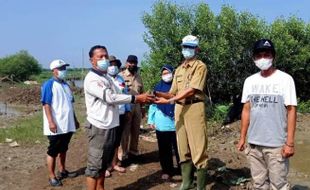 50.000 Bibit Mangrove Disalurkan Kepada Kelompok Tani Makmur Pati