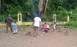 Candi Batur Pemalang, Rumah Ribuan Monyet yang Sarat Mitos Pantangan