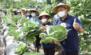 Ambisi Sleman Cetak 1.000 Petani Milenial