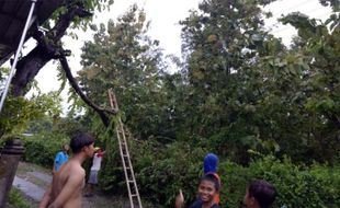 Musim Hujan Tiba, Warga Wonogiri Diimbau Waspadai Bencana Hidrometeorologi, Apa Itu?