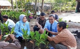 Dosen Pertanian UNS Solo Bimbing Petani Wonogiri Hasilkan Mete Bibit Unggul