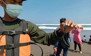 Waduh, Puluhan Pengunjung Pantai Parangtritis Tersengat Ubur-ubur