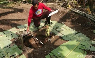 Warga Tulungagung Temukan Sumur Kuno Peninggalan Majapahit