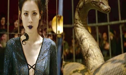 Karakter Nagini Karya J.K. Rowling Terinsipirasi Mitologi Jawa