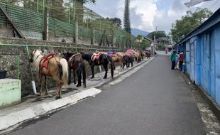 Tawangmangu Diprediksi Bakal Kebanjiran Pengunjung, Mulai Kapan?