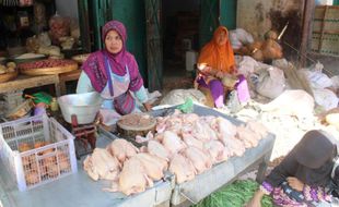 Harga Ayam di Sukoharjo Rp40.000/Kg Tetap Dicari Warga