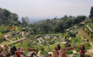 Menikmati Suasana Khas Puncak Bogor di Agro Jollong Pati