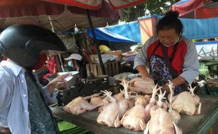 Masih Tinggi, Harga Daging Ayam di Solo Capai Rp45.000/Kg