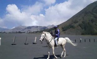 Berwisata ke Bromo, Jangan Lupakan Pasir Berbisik