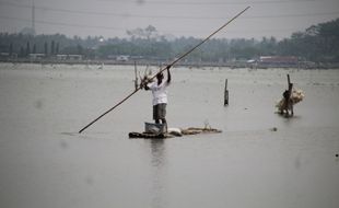 Terjebak Eceng Gondok Rawa Jombor, Seorang Pemancing Tenggelam