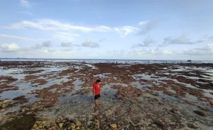 Pesisir Wonogiri Diklaim Aman dari Tsunami, Tapi Kudu Waspada Gempa