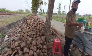 Ribuan Limbah Kelapa Sepanjang 500 Meter Numpuk Bertahun-Tahun di Dekat TPS Nglorog Sragen