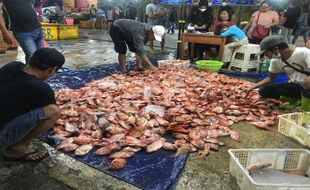 Soal Relokasi Pasar Ikan Balekambang, Disdag Solo Belum Putuskan Opsi Lokasi