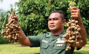 Serda Mugiyanto, Bintara Berjuluk Jenderal Buah Lengkeng