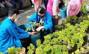 Proklim, Cara Pemkot Magelang Dukung Jateng Gayeng Telung Ng