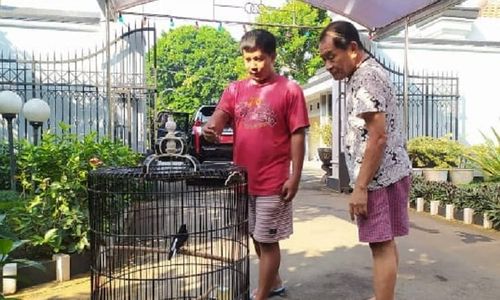 Alasan Bupati Banjarnegara Gemar Pelihara Burung, Kicauannya Bikin Perasaan Tenang