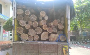 Dikejar Dari Eromoko, 8 Pelaku Ilegal Logging Bawa 134 Batang Kayu Tertangkap Di Wuryantoro Wonogiri