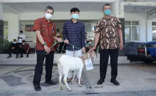 Mantap, 20 Anak Tidak Mampu Boyolali Dapat Bantuan Kambing