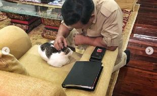 Lucu Banget! 5 Foto Bobby di Instagram, Kucing Kesayangan Prabowo