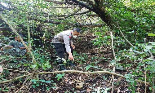 Kronologi Penemuan Kerangka Mayat di Hutan Gunung Pegat Bulu Sukoharjo