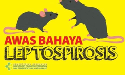 Tiga Warga di Karanganyar Meninggal Akibat Leptospirosis