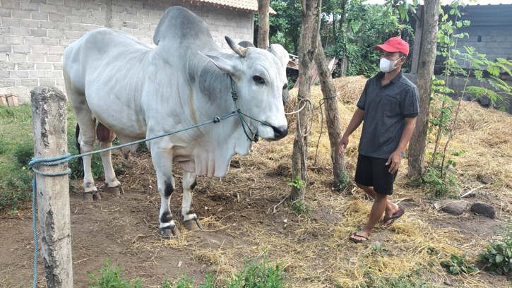 Ini Dia Alternatif Berkurban di Masa Pandemi