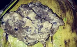 Tempe Besengek, Penganan Sumber Protein Khas Bumi Progo