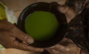 Tradisi Minum Jamu Batok Sudah Tradisi di Desa Wisata Ini