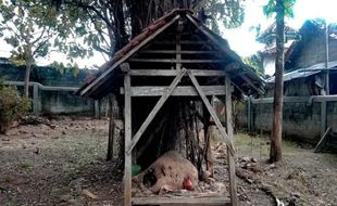 Kisah Mistis Watu Nganten di Blora, Pengantin Baru Dikutuk Jadi Batu