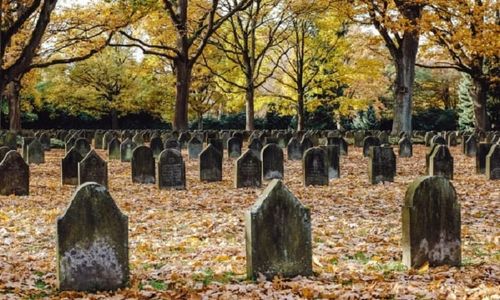 Makam Gadis di Mrebet Purbalingga Dibongkar, Polisi Selidiki Motif Pelaku