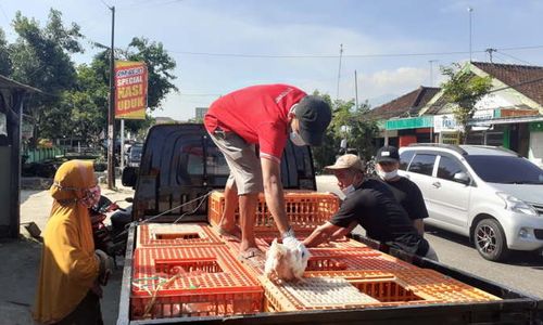 Peternak Madiun Terpaksa Jual Rugi Ayam Potong Karena PPKM Darurat