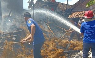 Tumpukan Jerami Keluar Api, Warga Purwodadi Geger