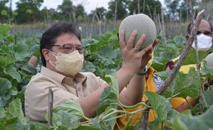 Airlangga Apresiasi Pemprov Kalsel, Bantu Warga Isoman Dari Panen Petani