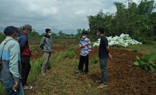 Mantap! Pemuda Wonogiri Ramai-Ramai Belajar Budidaya Porang