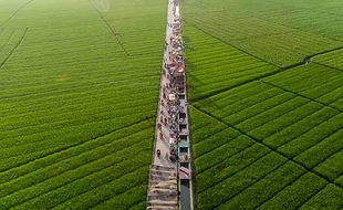 Tegalan Sawah Disulap Menjadi Destinasi Wisata di Karawang Jawa Barat