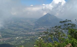 Kebakaran Gunung Telomoyo, Api Terpantau Sepanjang 1 Kilometer