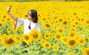 Suka Unggah Foto Selfie di Medsos Tak Selalu Narsis, tapi...