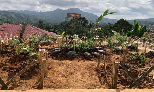 Pemanfaatan Yankestrad di Magelang Tertinggi di Jateng