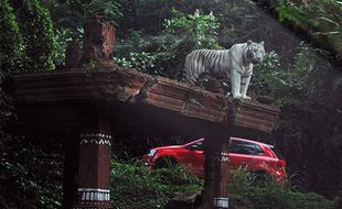 Taman Safari Indonesia (TSI) Cisarua Bogor Dibuka Kembali pada PPKM Level 3